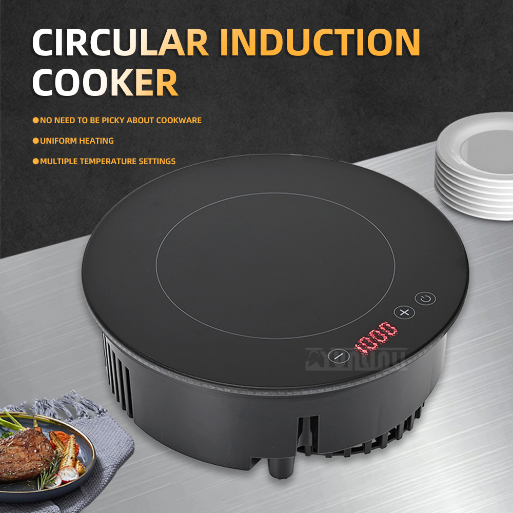 Fornello a induzione commercia - Induction Cooker Commercial recensione e prezzo