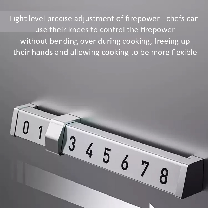 Fornello a Induzione Commercia - Commercial Kitchen Induction recensione e prezzo