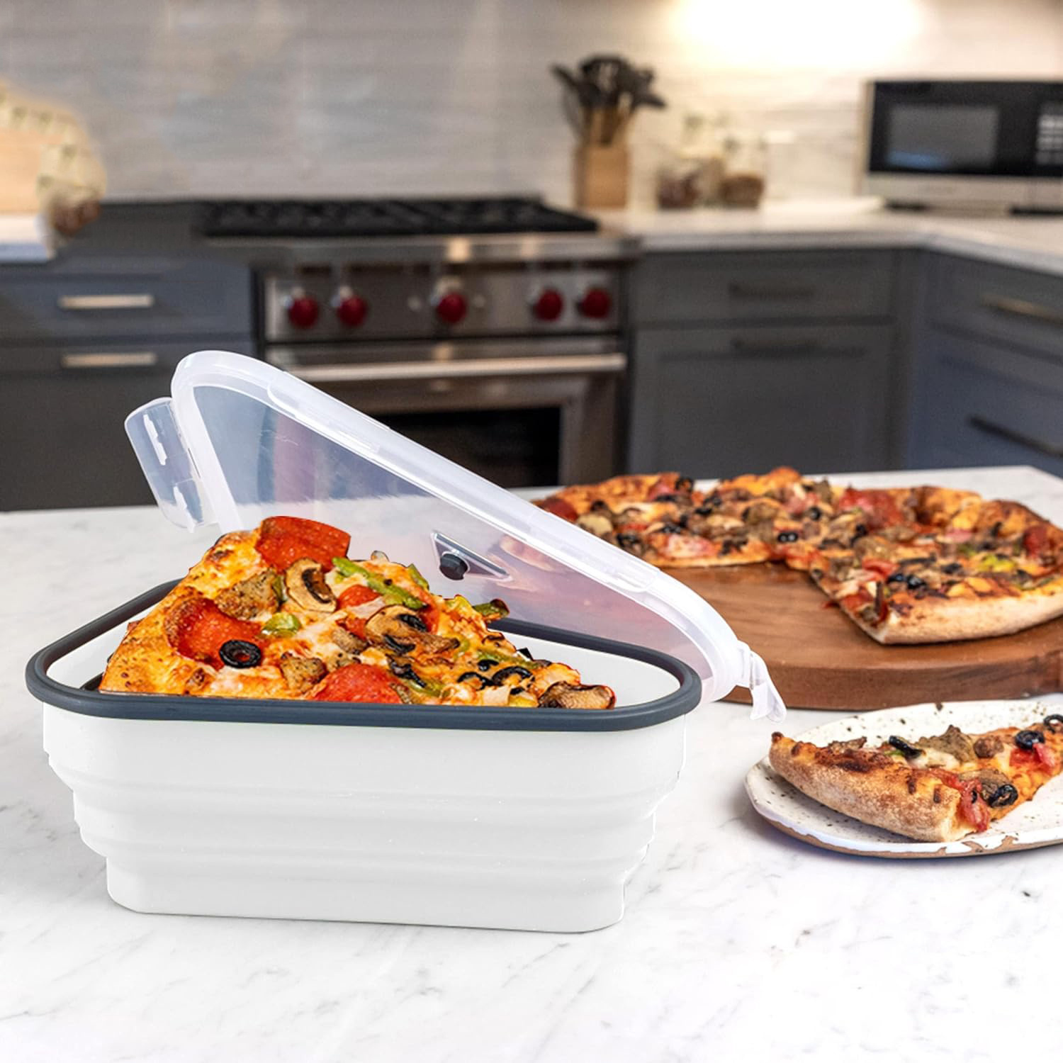 Contenitore per pizza in silic - Pizza Conveyor Oven recensione e prezzo
